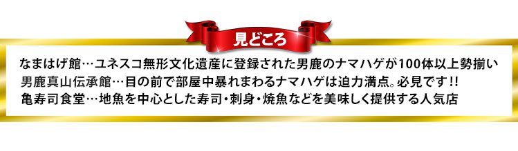 ポイント