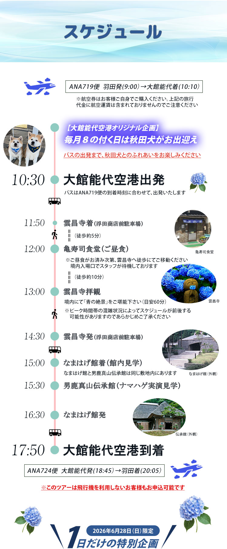 スケジュール